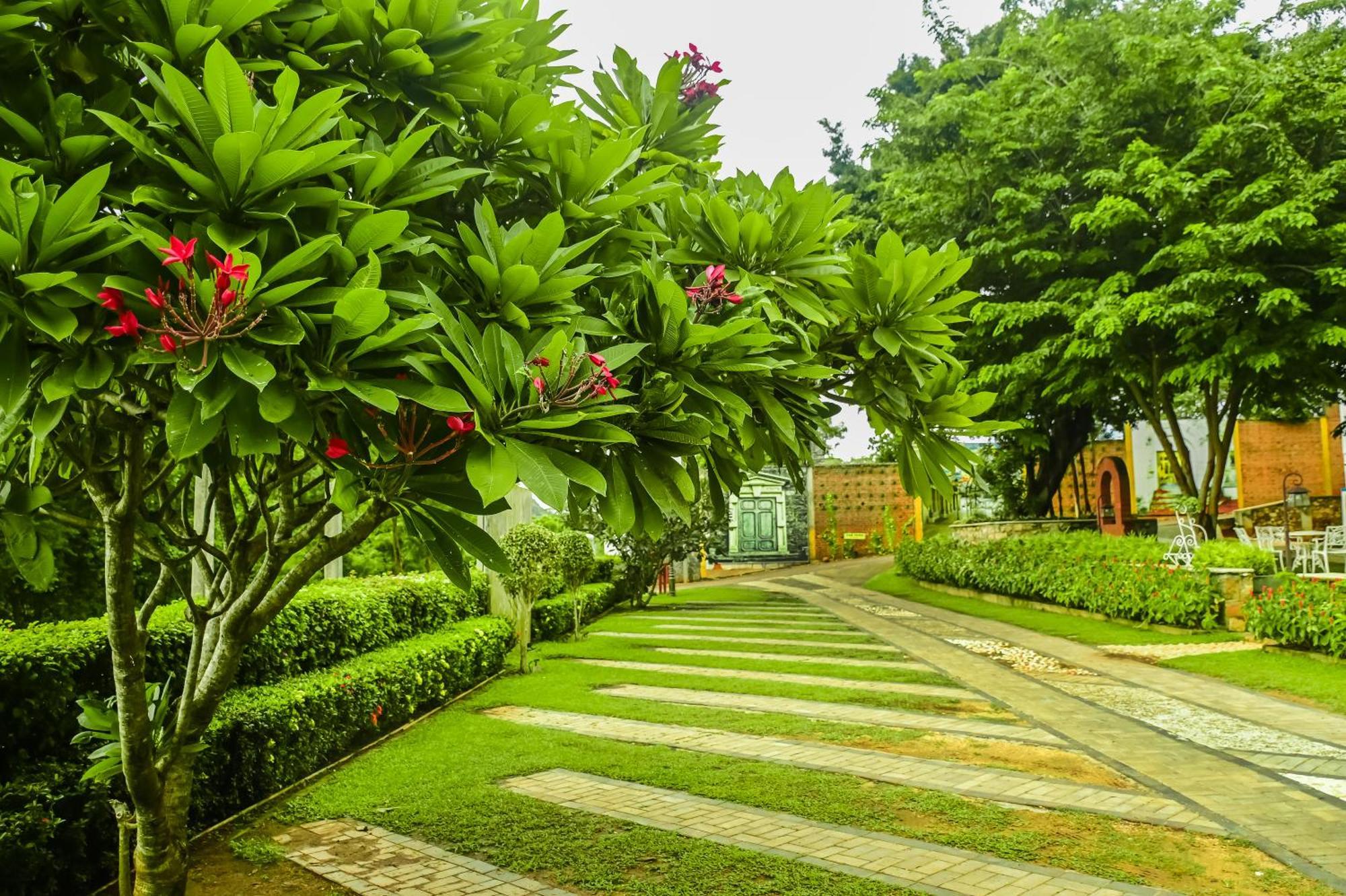 Agbo Hotel Polonnaruwa Exteriör bild